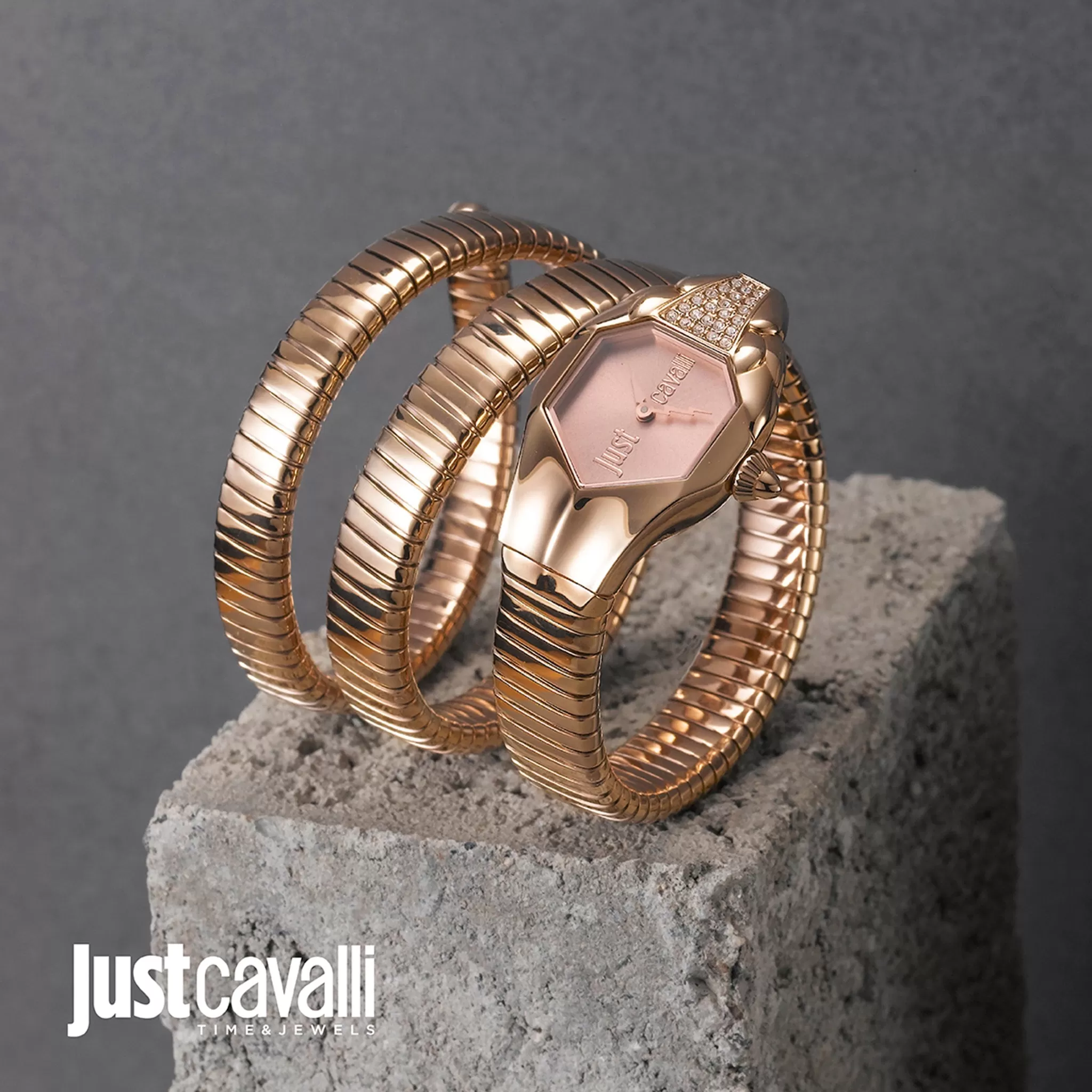 Just Cavalli Stainless Steel Analog Women's Watch JC1L022M0035