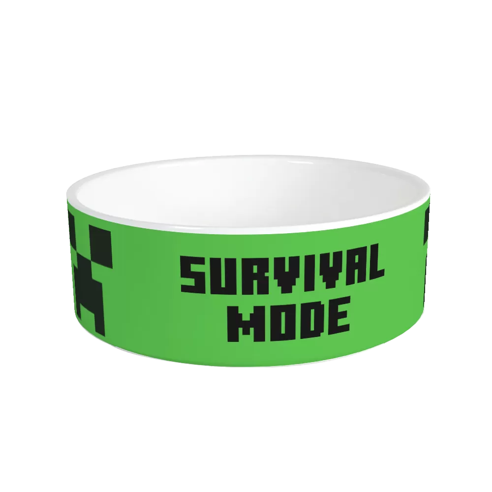 Minecraft Creeper Survival Mode Personalized Pet Bowl