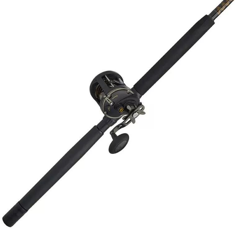 Penn Squall II Conventional Reel and Rod Combo SQLII20LW2030C60