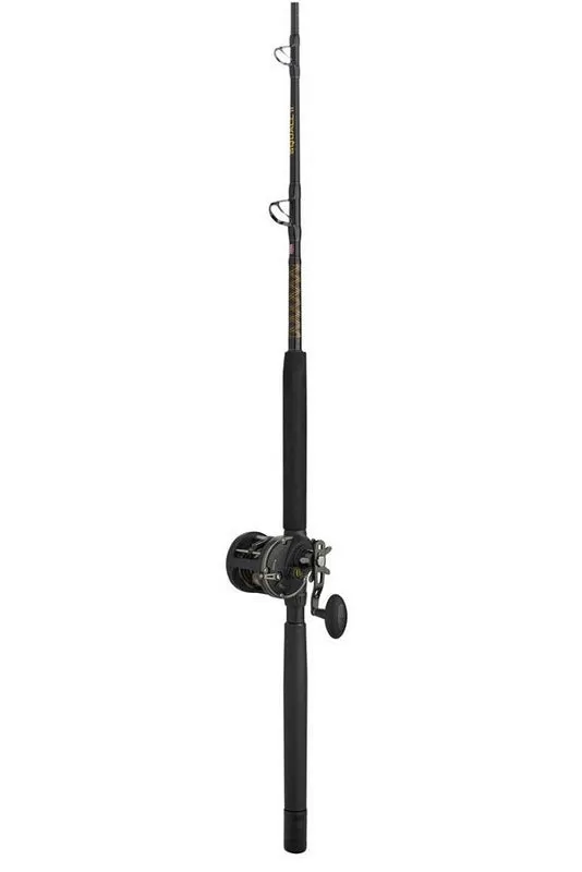 Penn Squall II Conventional Reel and Rod Combo SQLII20LW2030C60