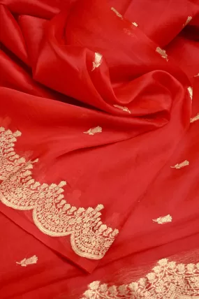 Pure Red Color Organza Banarasi Saree with Golden Buti and Scallop Border