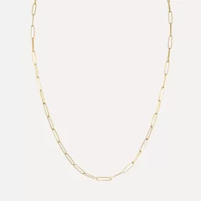 Thin Long Link Necklace