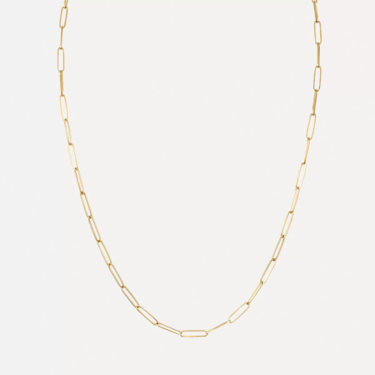 Thin Long Link Necklace