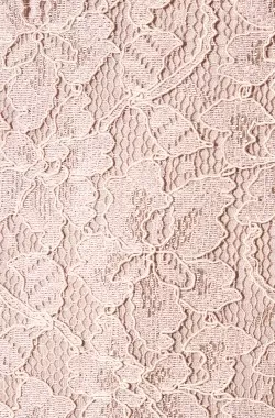 Zarita Lace Dress Pink