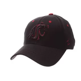 Zephyr Washington St. Black Element Hat